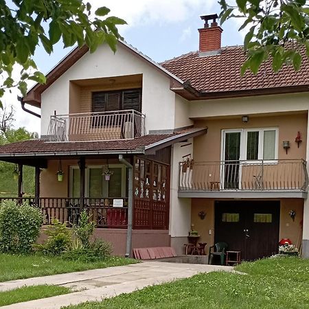 Kuca Za Odmor Zicanka Кралево Екстериор снимка