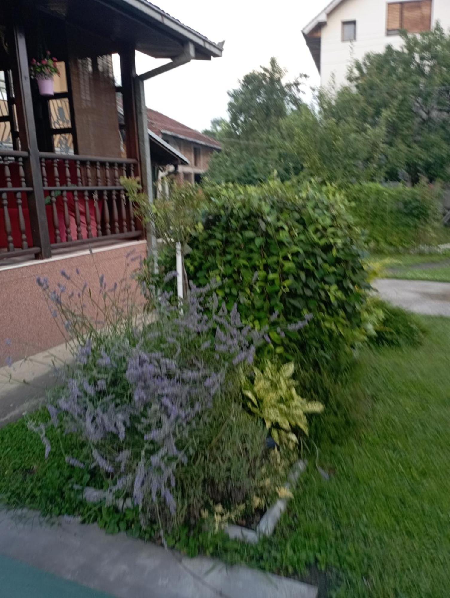 Kuca Za Odmor Zicanka Кралево Екстериор снимка