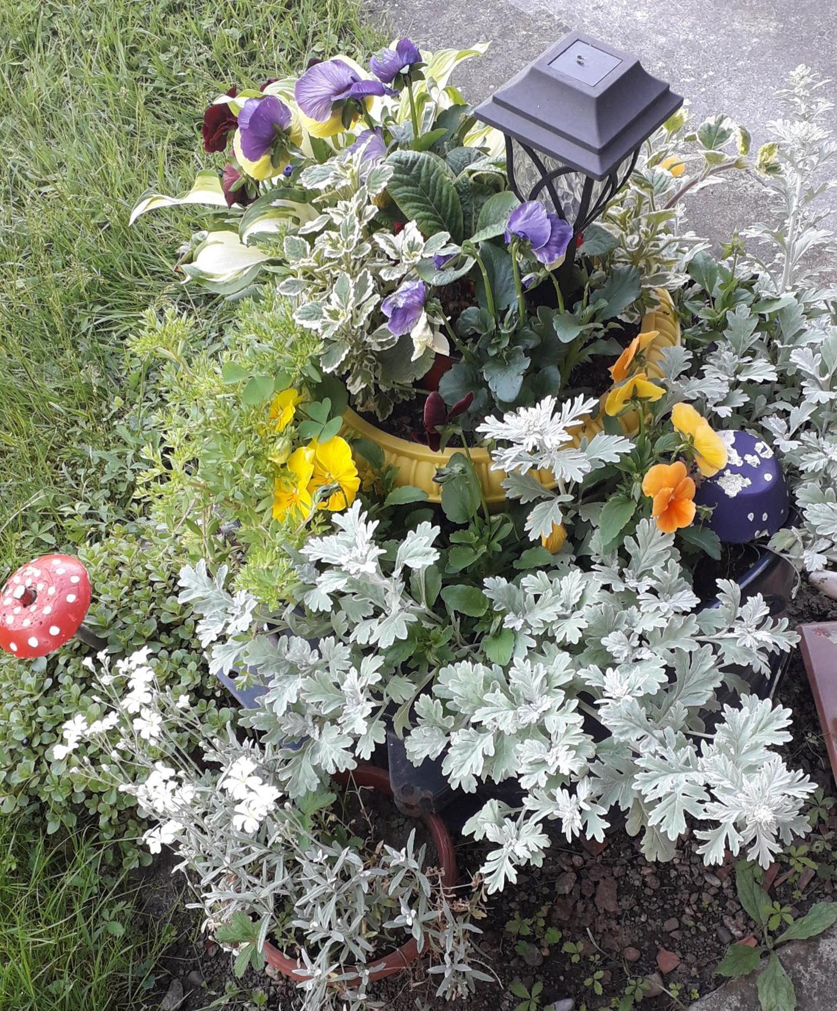 Kuca Za Odmor Zicanka Кралево Екстериор снимка