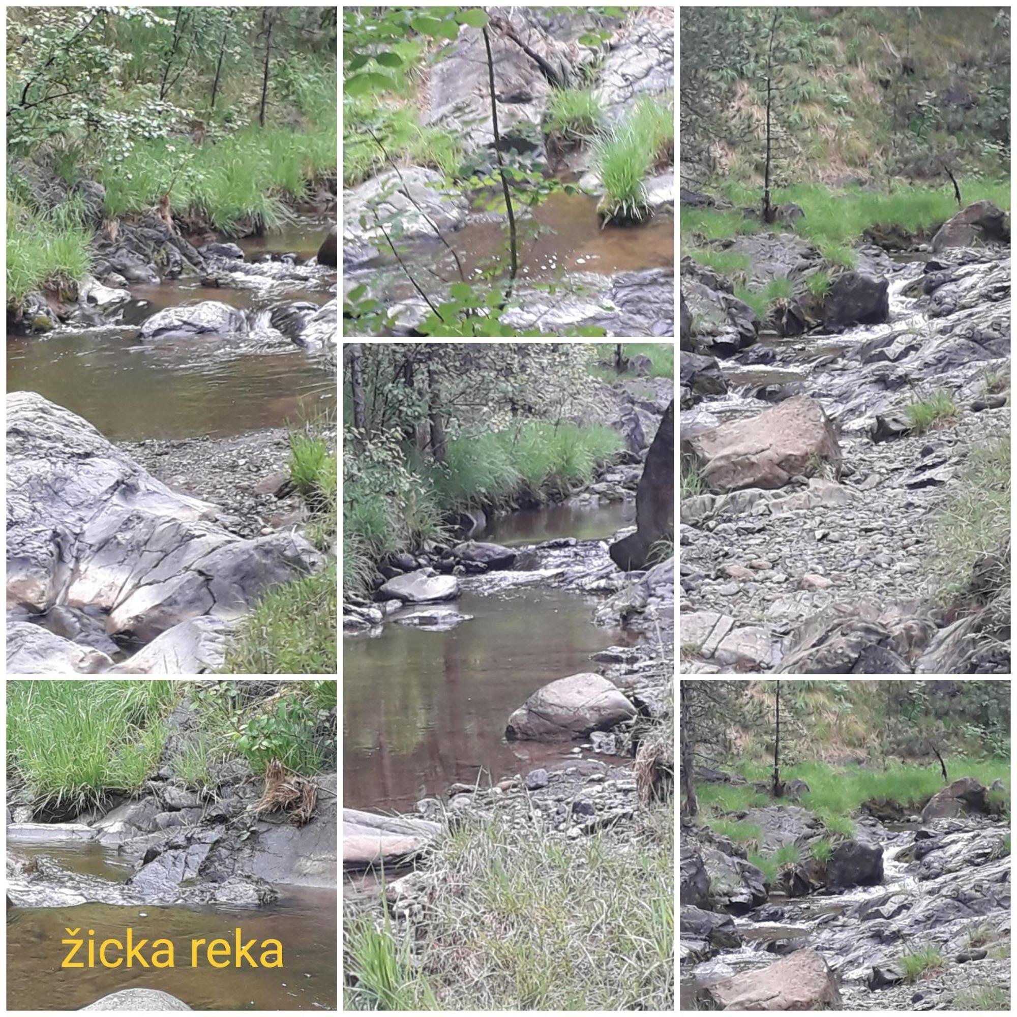 Kuca Za Odmor Zicanka Кралево Екстериор снимка